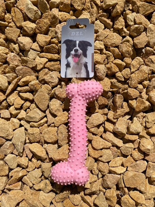Os à mâcher dentaire pour chien